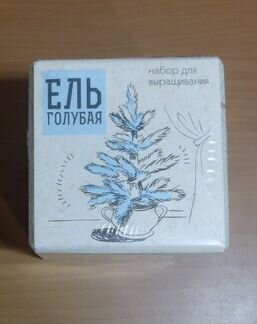 Новый Экокуб Ель Голубая