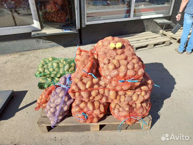 Продам картофель оптом