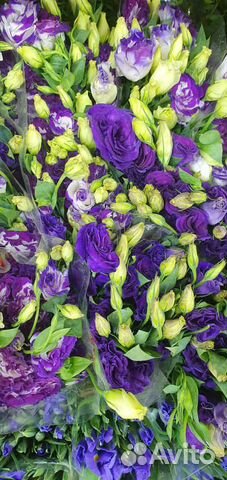 Букет из эустомы Цветы Букеты Розы Пионы Гипсофила