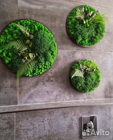 Панно из стабилизированного мха