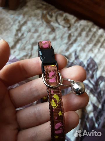 Ошейник с колокольчиком