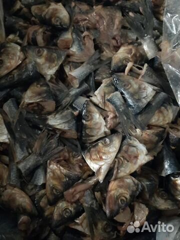 Рыбные отходы (замороженные несоленые)