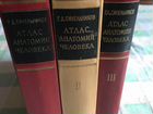 Атлас анатомии человека Синельников в 3-х томах объявление продам