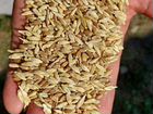 Пшеница рожь ячмень сено отходы объявление продам