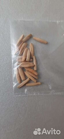 Семена. Адениум Обессум микс