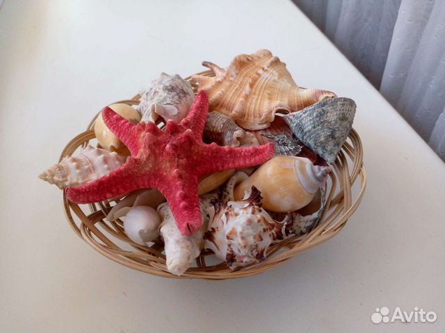 Ракушки декоративные в корзине