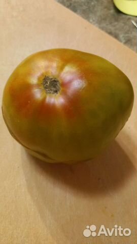 Семена томатов сортовые