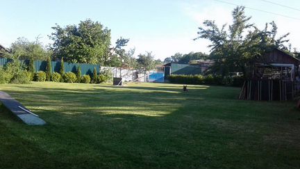 Гостиница для домашних животных