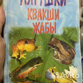 Обзор аквапарка "Московская лягушка" на Вентспилсском пляже