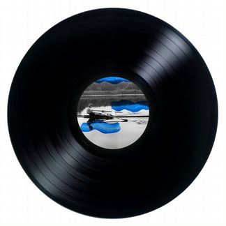 Демократы виниловые пластинки LP