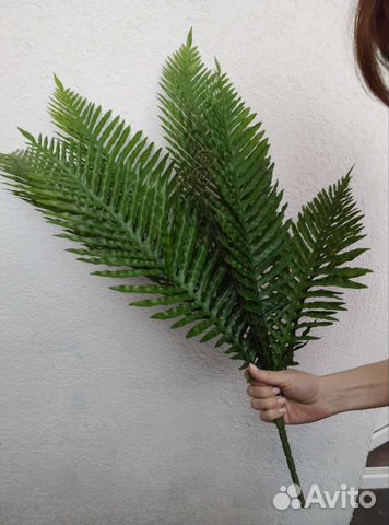 Пальма папоротник декоративная ветка