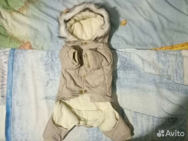 Комбинезон для собаки