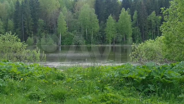 Участок 1,75 га (СНТ, ДНП)