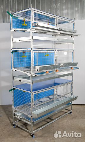 Клетки для кур, перепелов и кроликов
