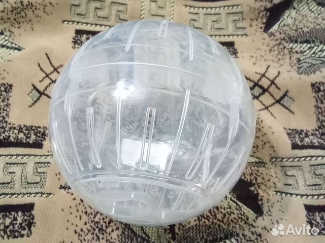 Беговой шар для хомяка
