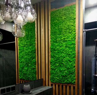 Мох стабилизированный в интерьере