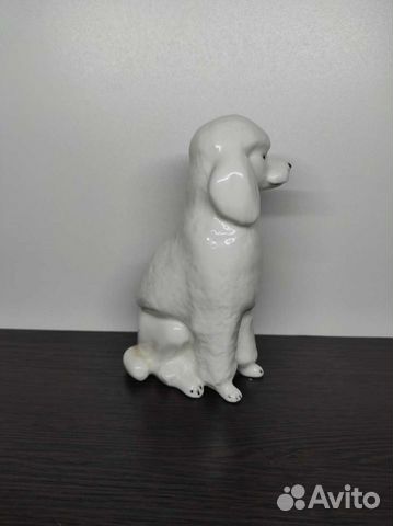 Пудель лфз белый