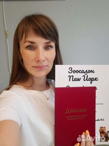 Стрижка кошек и собак, ветеринарный врач