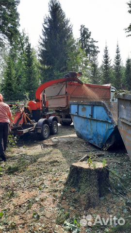 Спилить дерево, удалить пни, расчистить участок