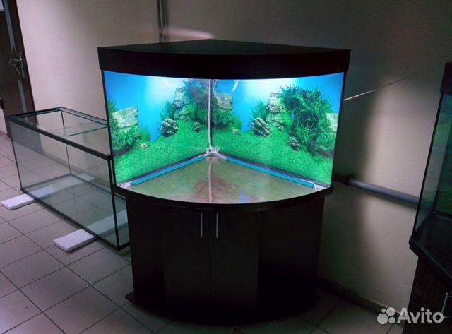 Аквариум 300л. угловой полукруглый, AguaStudio