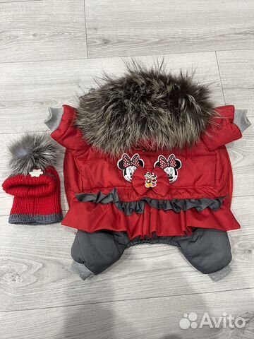 Одежда для собак