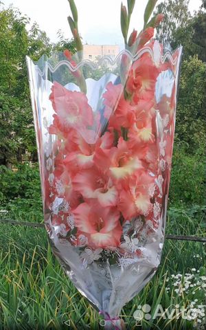 Гладиолусы, Букеты, свежайшая срезка