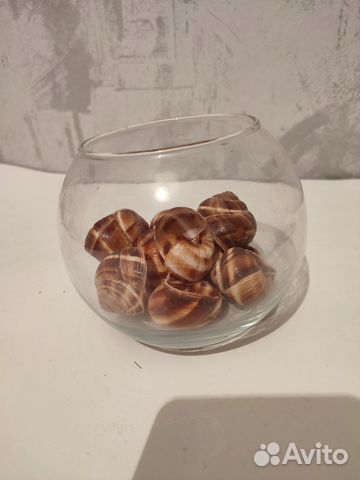 Стеклянная ваза