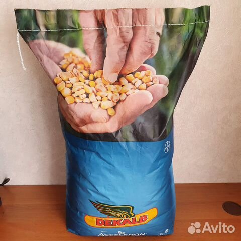 Семена кукурузы дкс-3169 deklab/bayer