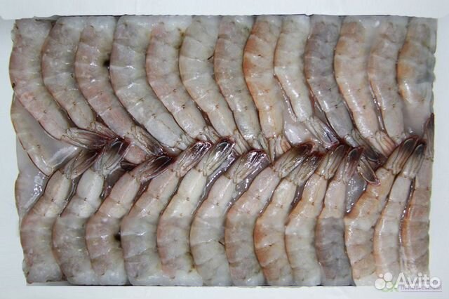 Тигровые креветки 21/25 блок 1.8