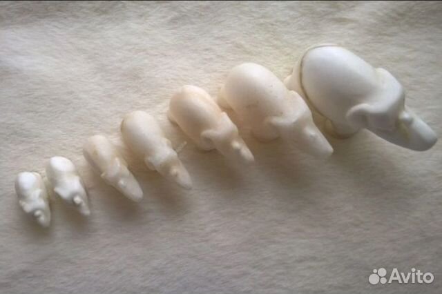 Семь мраморных слонов СССР. Редкость