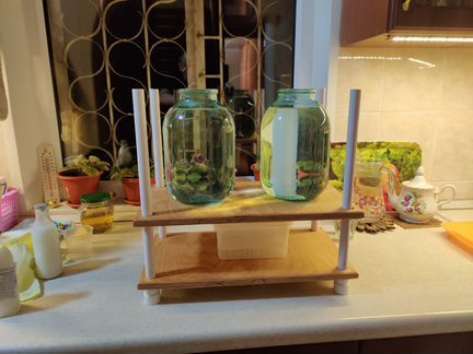 Пресс для сыра