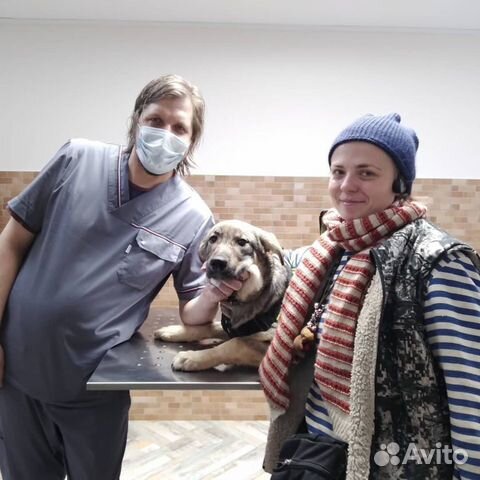 Ветеринарный врач с выездом