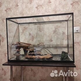 Самый высокий аквариум в московском торговом центре "Авиапарк"