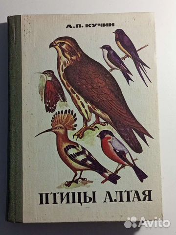 Кучин А.П. Птицы Алтая
