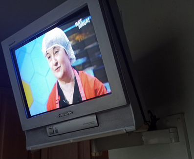 Телевизор Panasonic TC-15PM10R