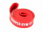 Эспандер замкнутый Harper Gym (от 20 до 55 кг)