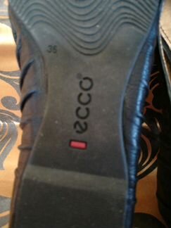 Балетки экко