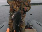 Рыбалка на Рыбинском водохранилище.услуги егеря