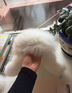 Шапка manudieci новая