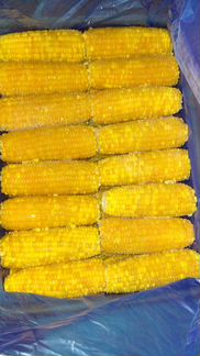 Кукуруза в початках