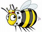Матки F1(Енисейская популяция) Тёмная лесная пчела