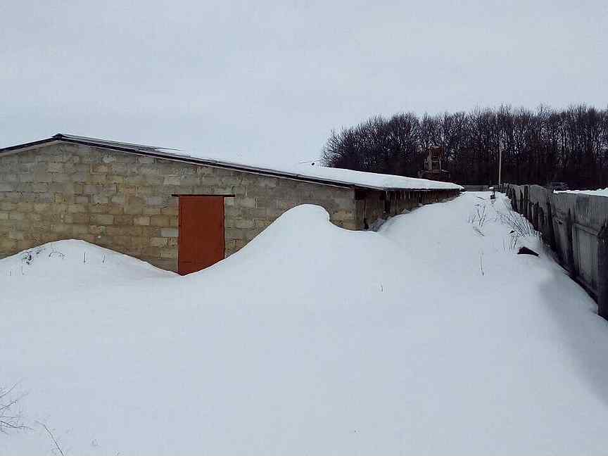 Погода новая глинка яковлевский белгородской. Новая Глинка Яковлевский Белгородской.