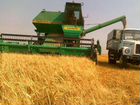 Зерно пшеница, ячмень, сено