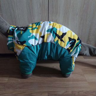 Одежда для собак