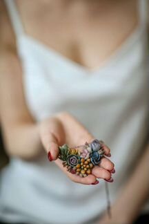 Украшения с суккулентами