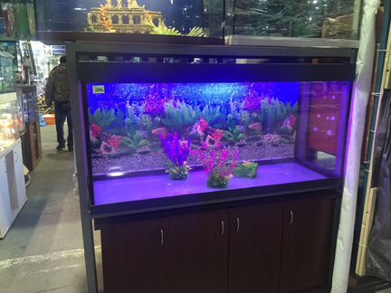 Аквариум с тумбой 151х51х145 от производителя нов