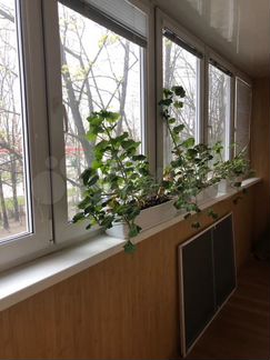 1-к квартира, 51 м², 2/16 эт.