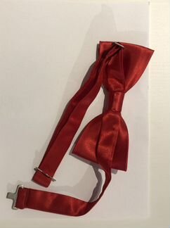 Бабочки мужские