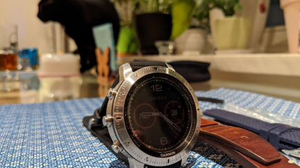 Часы Garmin Fenix Chronos