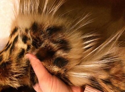 Дубленка легкая 46-48р